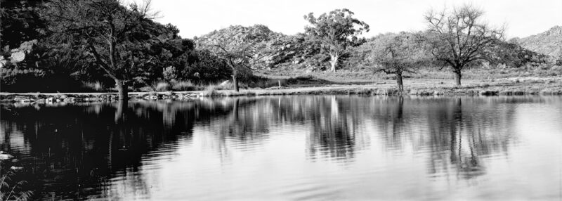 Black and white landscape with acacia-height trees reflected in a gently rippling dam beneath early morning light.
