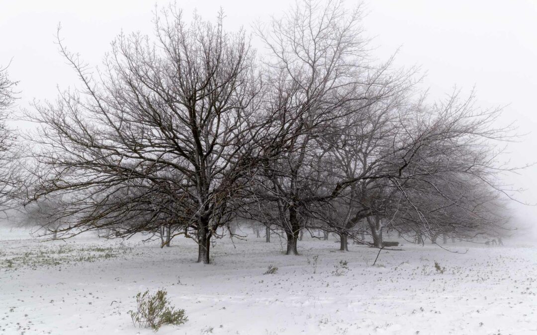 The Role of Silence in Photography